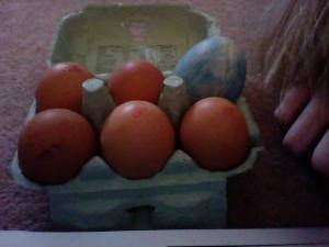 10339019_668889433158974_1049793211_n